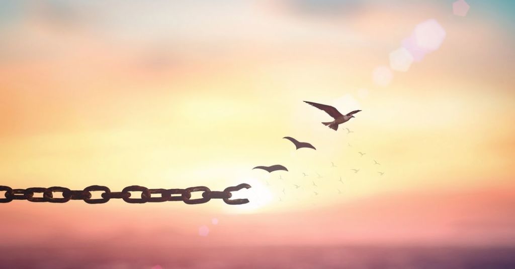 Your Health Freedom