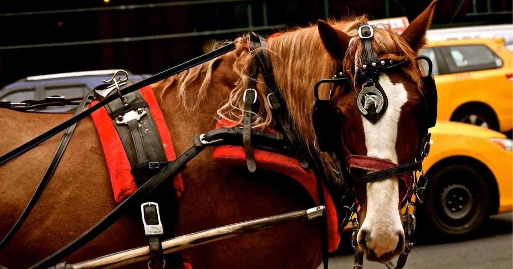 The Harness Holding You Back