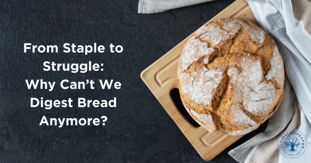 bread and digestion