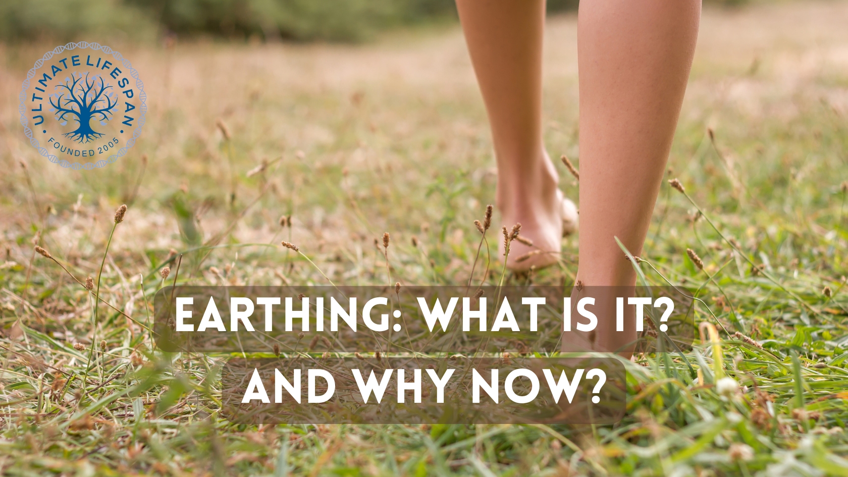 Earthing Reconnecting with the Earth's Healing Energy Ultimate Lifespan