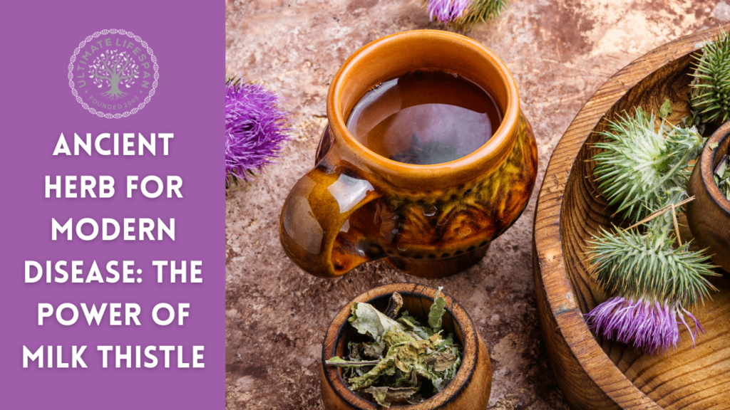 Milk Thistle for liver health