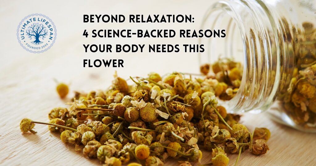chamomile herb