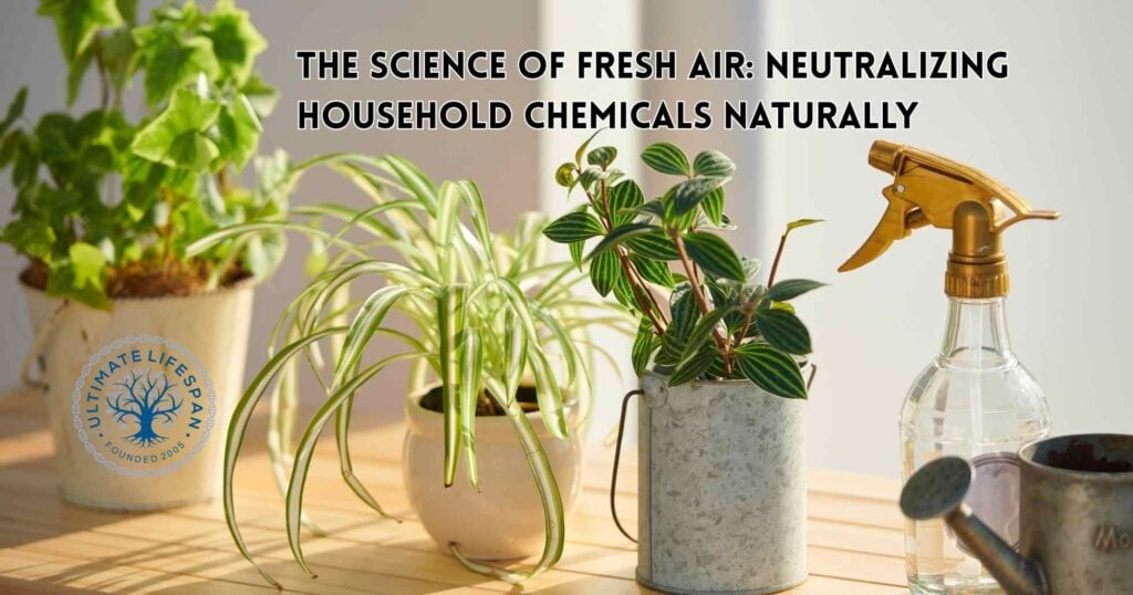 Indoor air quality